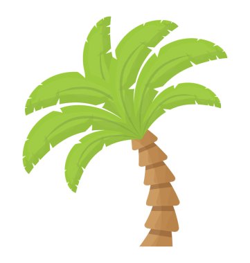 Palmiye ağacına benzeyen yaprakları olan tropik bir ağaç.