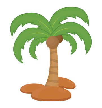 Ağaç yaprak çiçek yapılandırılmış palm ailesine ait, bu Hindistan cevizi ağacı  