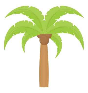 Palmiye ağacına benzeyen yaprakları olan tropik bir ağaç.