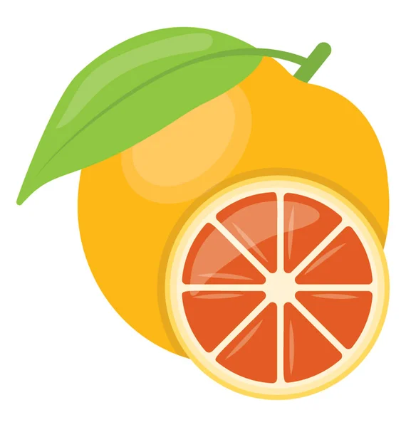 Cítrico Pulposo Fresco Que Caracteriza Naranja — Vector de stock