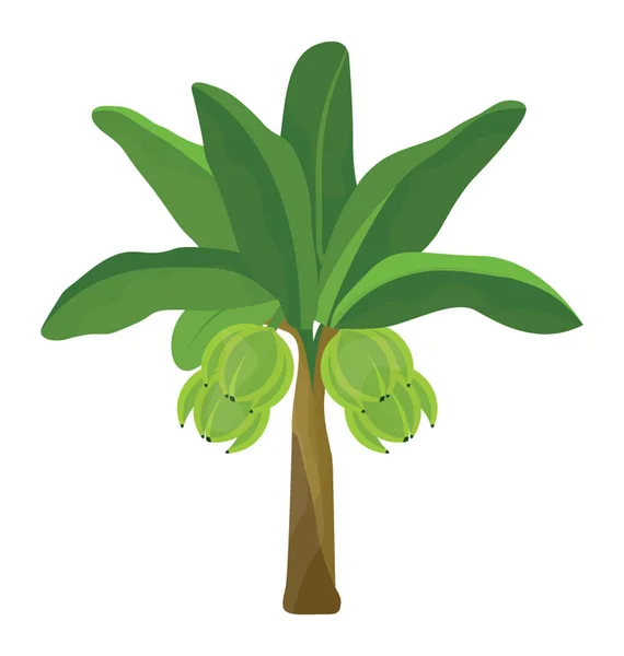 Árbol Coco Tropical Diseño Icono Plano — Vector de stock