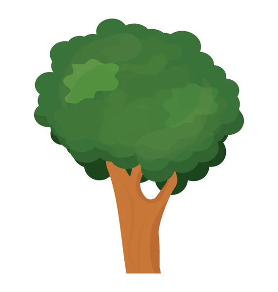 橄榄树和丁香花叶树 灰木图标 — 图库矢量图片