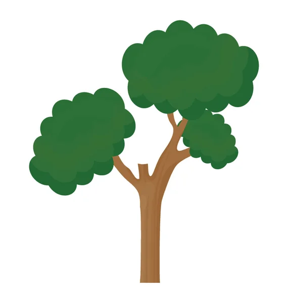 Drzewo Liśćmi Żyłką Struktury Gałęzi Jest Pinus Bonsai — Wektor stockowy