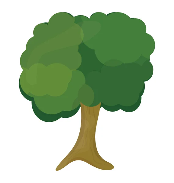Árbol Sombreado Follaje Verde Sycamore Icono Plano — Vector de stock