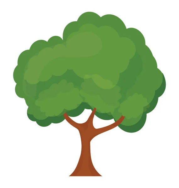 Árbol Sicomoro Follaje Verde Del Árbol Arce Vector Plano — Vector de stock