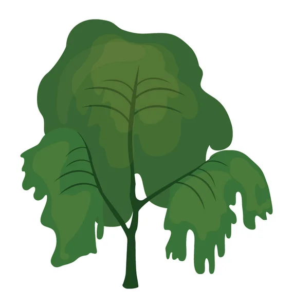 Weeping Willow Tree Även Kallad Sväljer Träd — Stock vektor