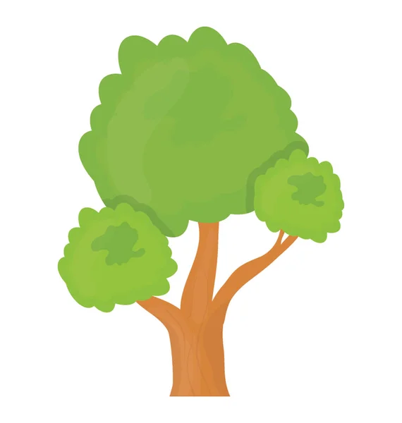 Дерево Небольшим Круглым Листом Структурой Ветвей Сосна Бонсай — стоковый вектор