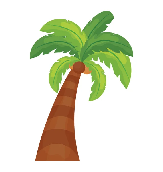 有叶子的热带树 形状象一只手 显示棕榈树 — 图库矢量图片