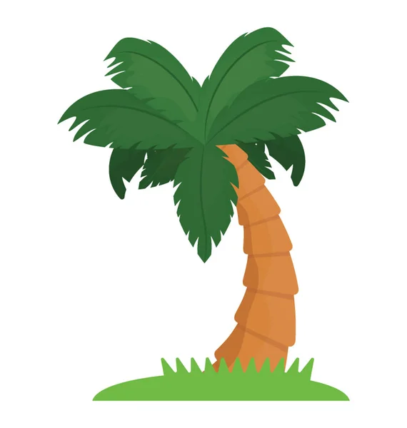 Árbol Tropical Con Hojas Forma Mano Que Muestra Palmera — Vector de stock