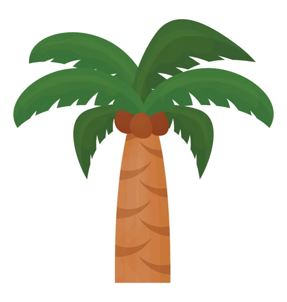 Árvore Tropical Com Folhas Forma Palmeira — Vetor de Stock