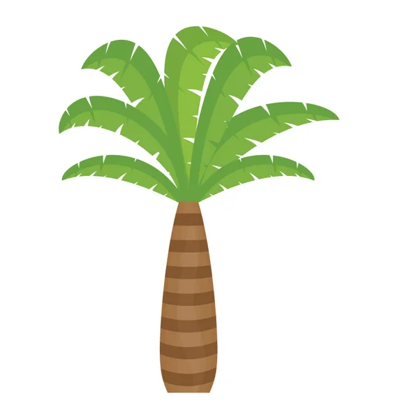 Árvore Tropical Com Folhas Forma Palmeira — Vetor de Stock