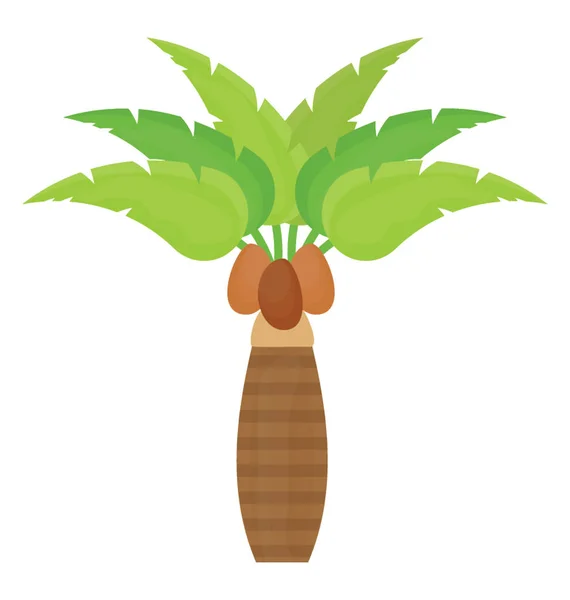 Blütenblatt Strukturierter Baum Gehört Zur Palmenfamilie Das Ist Kokosnussbaum — Stockvektor