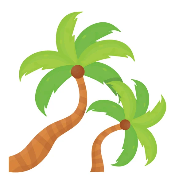 Tropik Ağaç Hurma Gösterilen Bir Şeklinde Yaprakları Ile — Stok Vektör