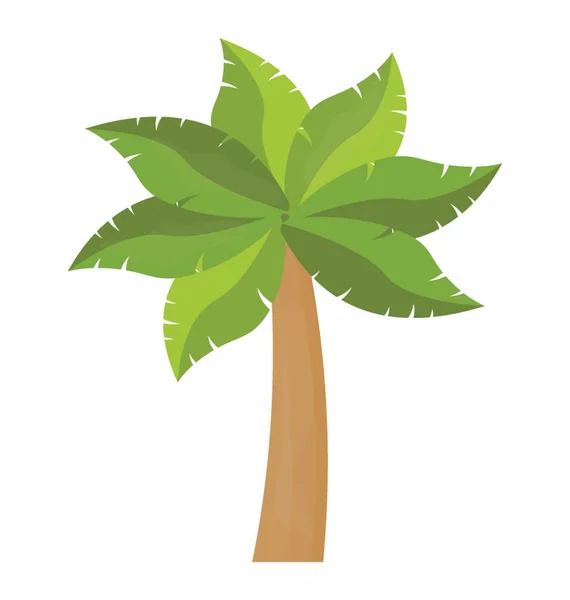 Desenho Ícone Plano Palmeira Tropical — Vetor de Stock
