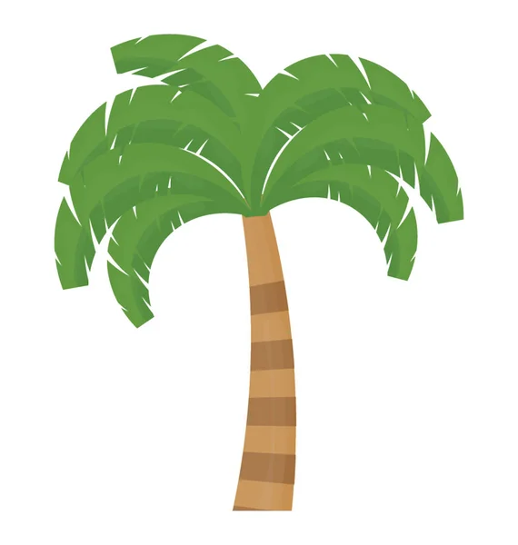 Tropikalne Drzewo Liśćmi Kształcie Dłoni Pokazujące Palmę — Wektor stockowy