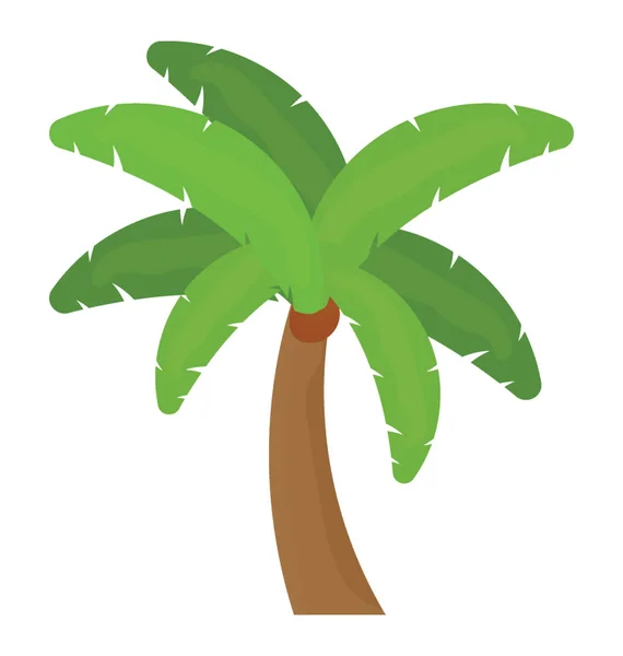 Árbol Tropical Con Hojas Forma Mano Que Muestra Palmera Datilera — Vector de stock