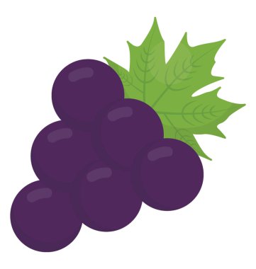 Mor üzüm demet ünlü Amerikan meyve güzellik çilek simgesini göstermek için kullanılır 