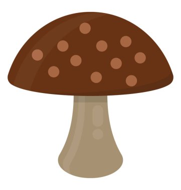 Özel bir mantar burada çizilir, shiitake mantar 