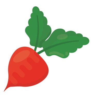 Bir salata sebze ile kenar bir tarafı köşeye ve pancar için diğer, simgesini yapraklar 