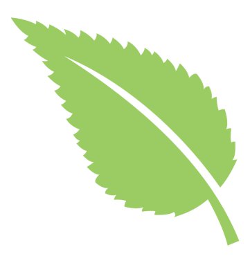 Bir yaprak bileşik yapısı ile kül yaprak olduğunu 