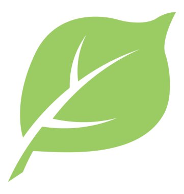 Yaprak bir ana ven ile ve çok sayıda küçük kazandı damarlar dut yaprağı vitrine  