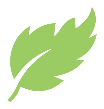 Britch yaprak vitrine dalgalı kenarlı bir ince yapılandırılmış yeşil yaprakları 