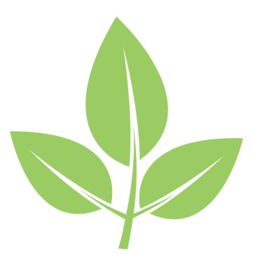 Elm sunan bir açıkça görünür ven ile üç yaprak simge bırakın