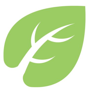 Çok sayıda damarlı büyük bir yaprak pergularia daemia yaprak olduğunu 