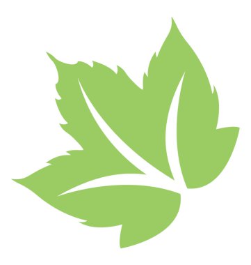 Kenar boşluğu teeths ve üzüm yaprağı anısına damarlar ile çiçek yaprak