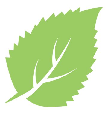 Yaprak bıçak ile hangi tarihlerde gömülü damarlı yapısıyla pictoring aronia chokeberry yaprak kenarları