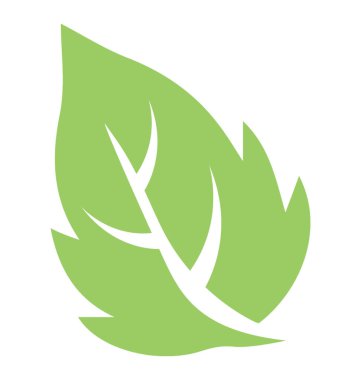 Britch yaprak vitrine dalgalı kenarlı bir ince yapılandırılmış yeşil yaprakları 