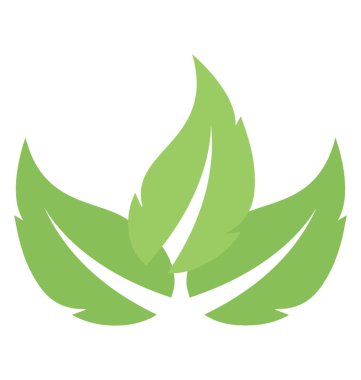 Üç yaprak vitrine dalgalı kenarlı ince yapılandırılmış yeşil yaprakları