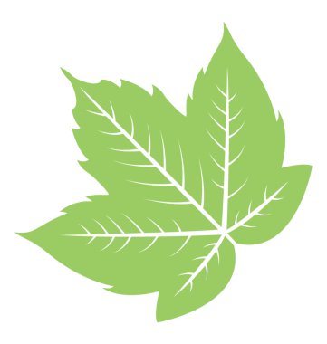 Kenar boşluğu teeths ve üzüm yaprağı anısına damarlar ile çiçek yaprak