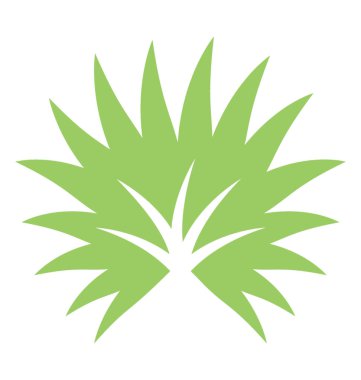 Palmiye yaprağı dikenli kenarları üzerinde tek bir petiole bağlı olan birçok uzun yaprakları ile palmetto yaprak olduğunu 