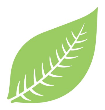 Düzgün kenarlara gibi üçle şekil yaprak damarları ile yapılandırılmış kemikleri balık, bu hevea brasiliensis yaprak 