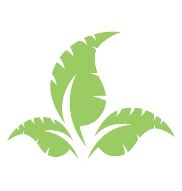 Üç yaprak vitrine dalgalı kenarlı ince yapılandırılmış yeşil yaprakları