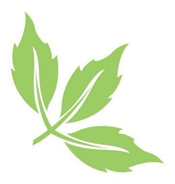 Üçlü yaprak vitrine üç parçaya bölünmüş yaprak 