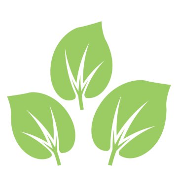 Üçle şekilli üç yaprak ipekotunun yaprağı yapılanma içinde damarlı