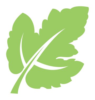 Kenar boşluğu teeths ve üzüm yaprağı anısına damarlar ile çiçek yaprak