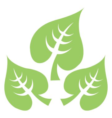 Elmas şekli yaprak damarları ile taç yapım büyük yapraklı kireç simgesidir