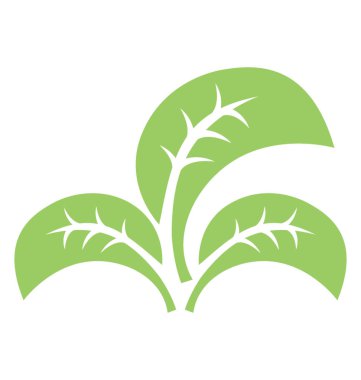 Üçlü yaprak vitrine üç parçaya bölünmüş yaprak 