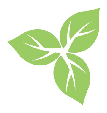 Üçle şekilli üç yaprak ipekotunun yaprağı yapılanma içinde damarlı