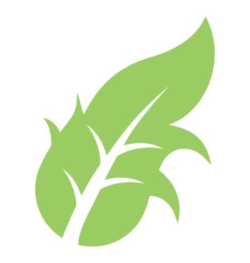 Falcate yaprak ile hafif bazı kenarları yapma karahindiba yaprak şeklinde 