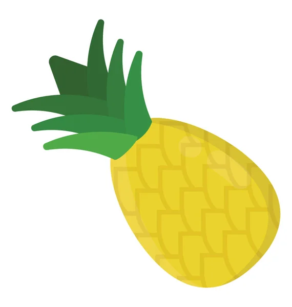 Fruit Avec Conifère Comme Croûte Des Feuilles Vertes Sur Bord — Image vectorielle