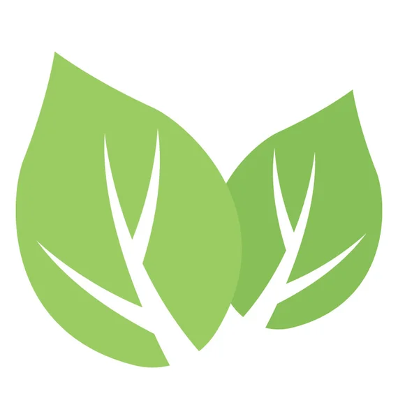 Ovate Σχήμα Δύο Φύλλα Φλέβες Μέσα Δόμηση Milkweed Φύλλων — Διανυσματικό Αρχείο