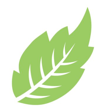 Veppilai yaprak vitrine dalgalı kenarlı bir ince yapılandırılmış yeşil yaprakları 