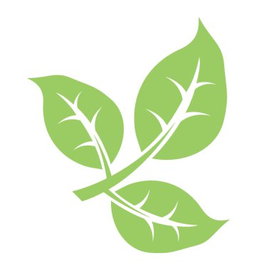 Üçlü yaprak vitrine üç parçaya bölünmüş yaprak 