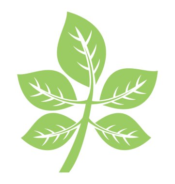 Whorled şekil beş broşürler yüzük ile bu bileşik yaprak yapıdır 