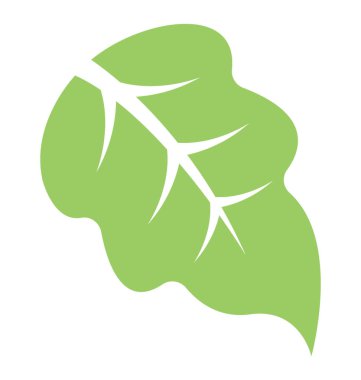 Deltoid bolleana kavak yaprağı simgesi tezahür ortada bir büyük ven ile yaprak şeklinde 