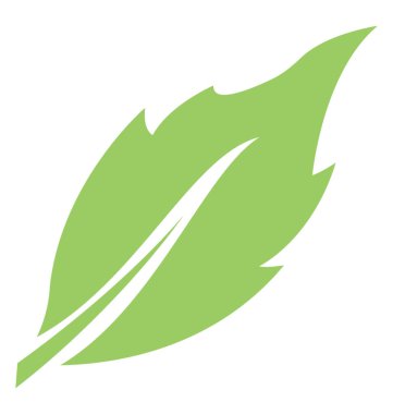 Britch yaprak vitrine dalgalı kenarlı bir ince yapılandırılmış yeşil yaprakları 